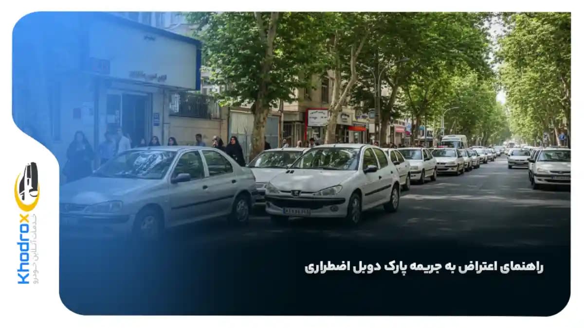 لغو-جریمه-پارک-دوبل