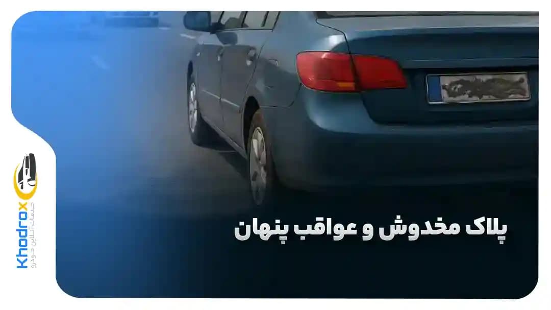 عواقب-پلاک-مخدوش